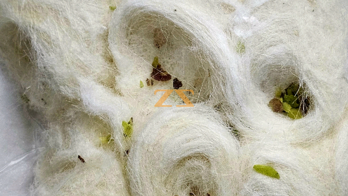 الحلو الخفيف