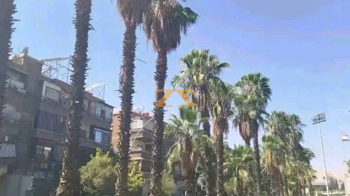 للاجار شقة في البرامكة شارع النخلات